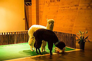 《风暴崛起》登陆Steam提前正式推出 复古RTS新游